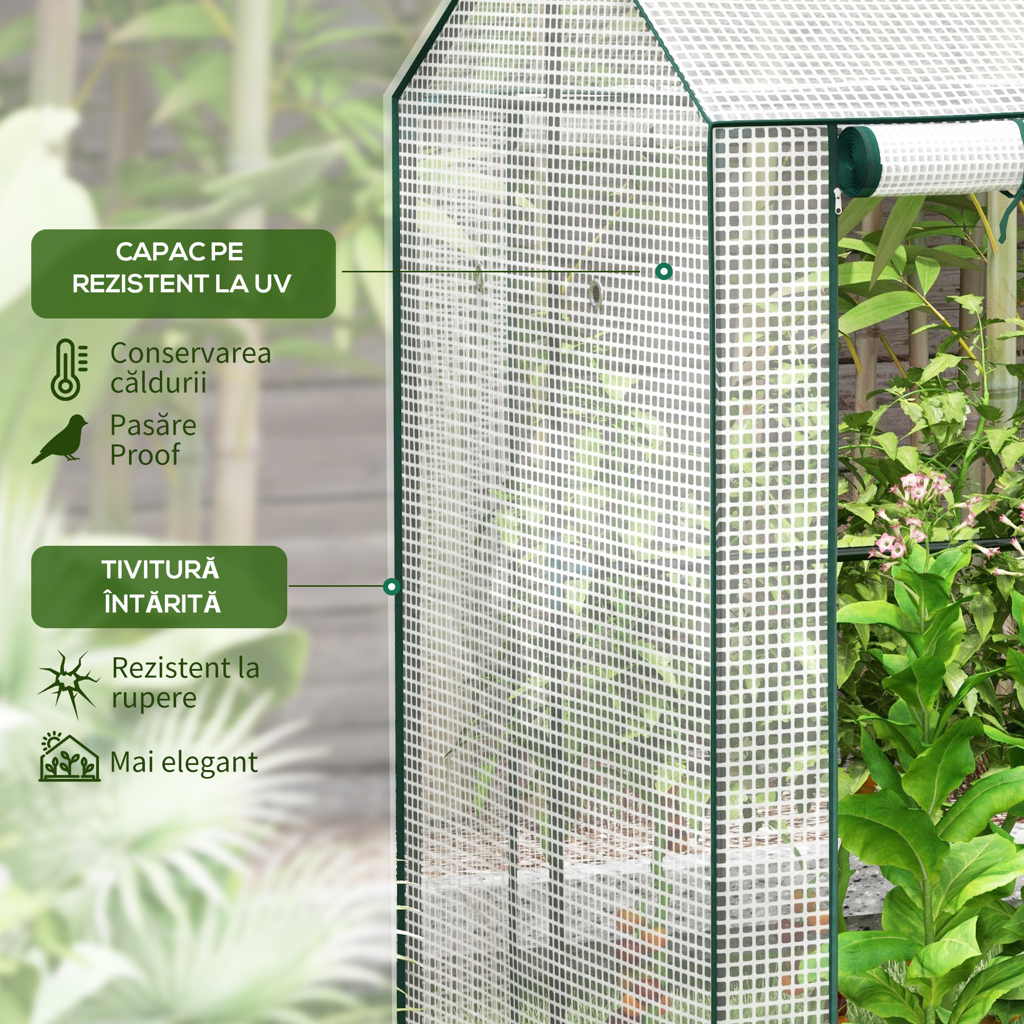  Sera Cu 2 Camere Pentru Gradina Cu 2 Usi [4]