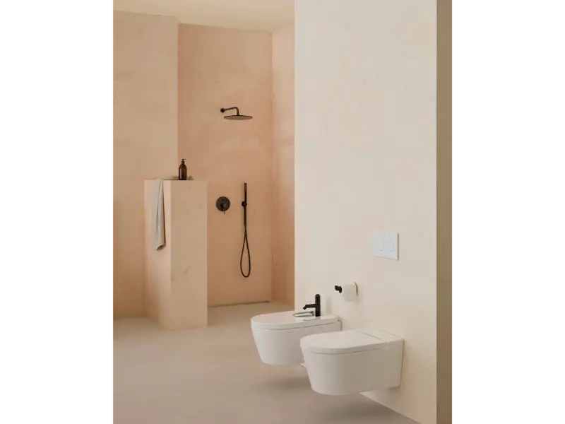 Bideu Roca A357525640, Inspira Round, montaj suspendat, preaplin, utilizare igienica si eficienta, antracit [2]