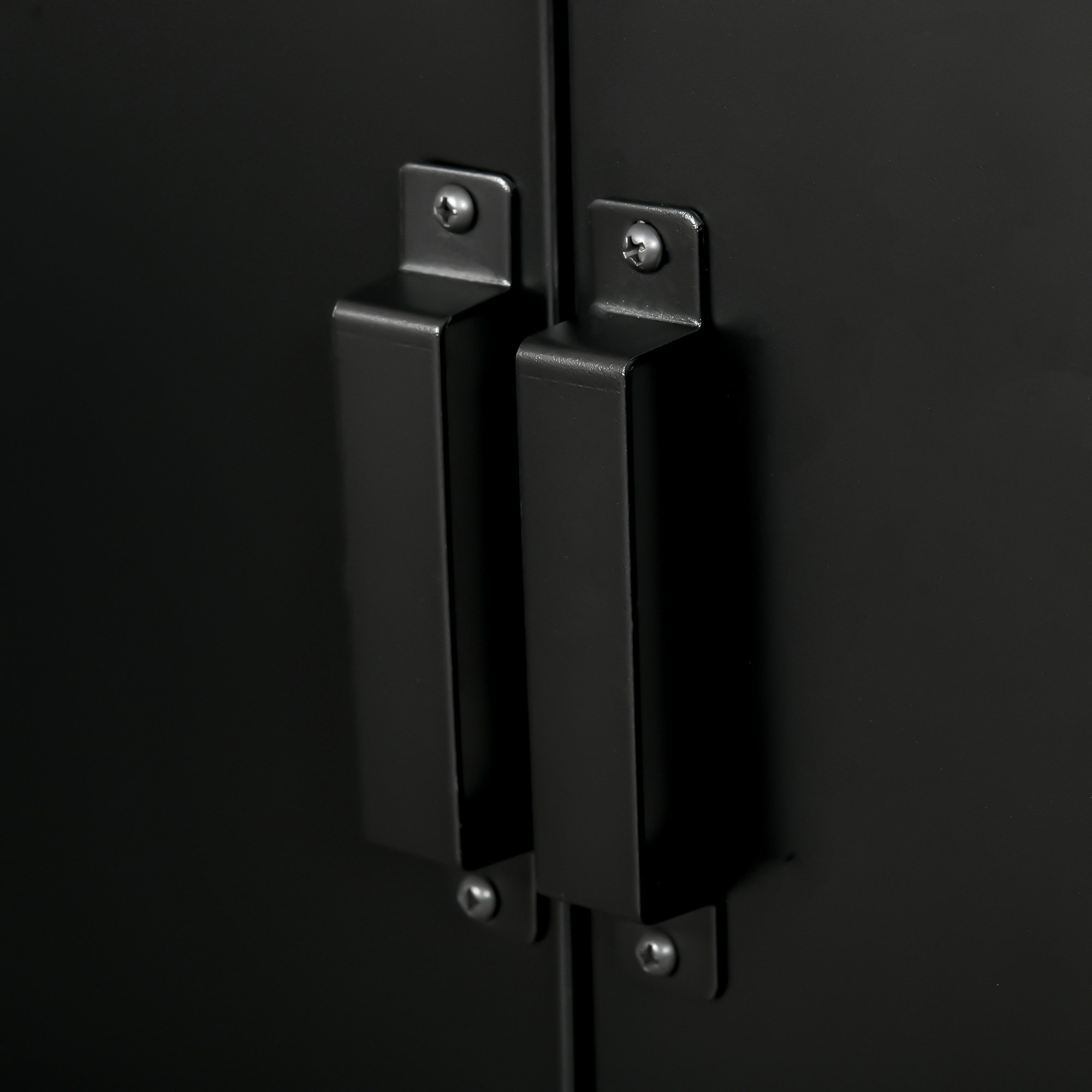  Dulapior Multifunctional cu 2 Usi Stil Industrial, Dulapior Metalic pentru Casa si Garaj - Gri [8]