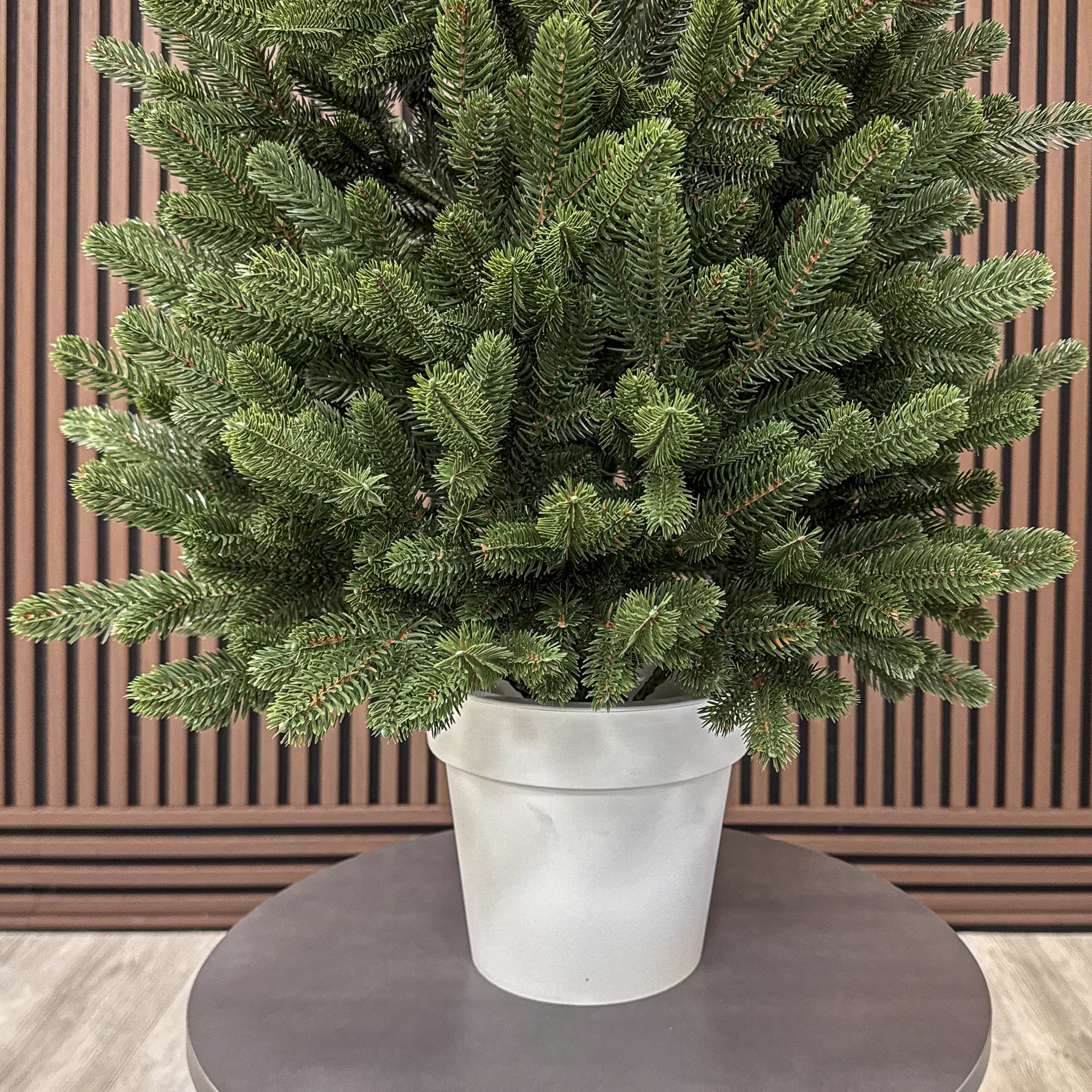 Brad artificial Christmas Deluxe by Sersimo, Viena Elite verde in ghiveci, 3D, 110 cm [2]