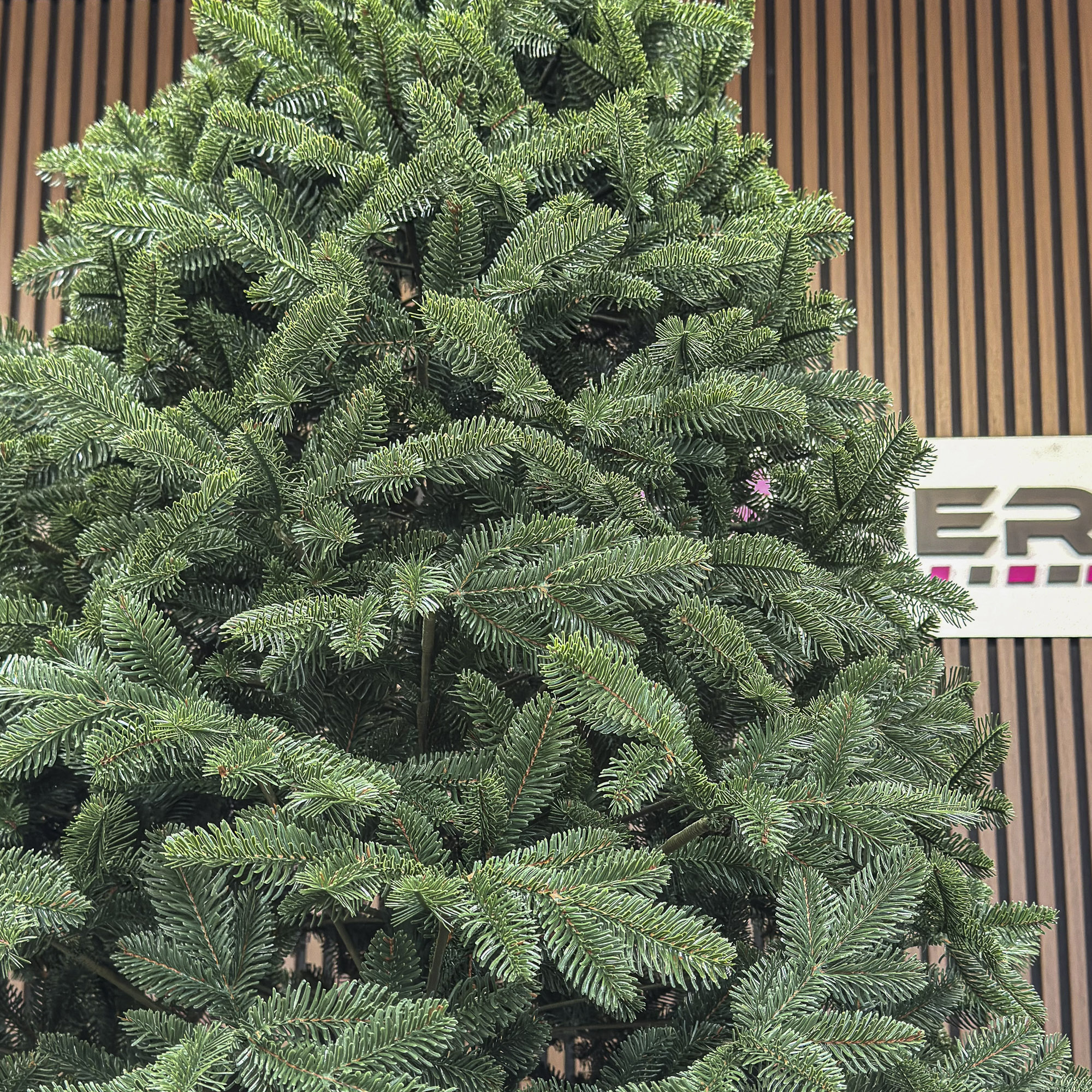 Brad artificial Christmas Deluxe by Sersimo, Canada verde, 3D, 210cm [20]