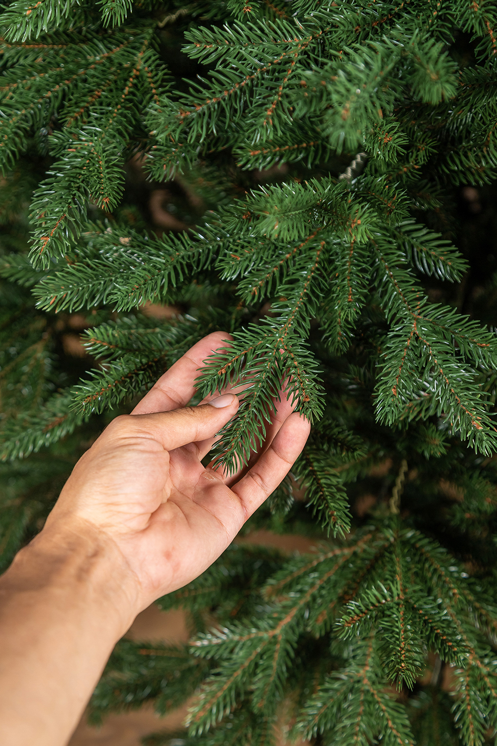 Brad artificial Christmas Deluxe by Sersimo, Alpin Select, integral 3D, 250 cm [16]