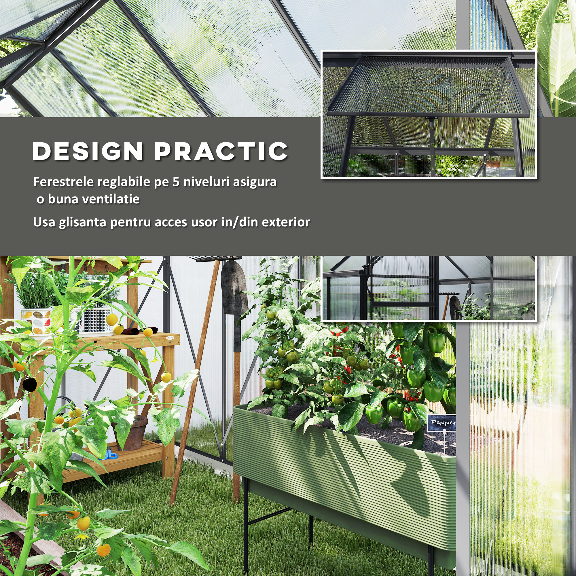  Sera Walk-In Aluminiu & Policarbonat - Ventilatie si Jgheab [4]