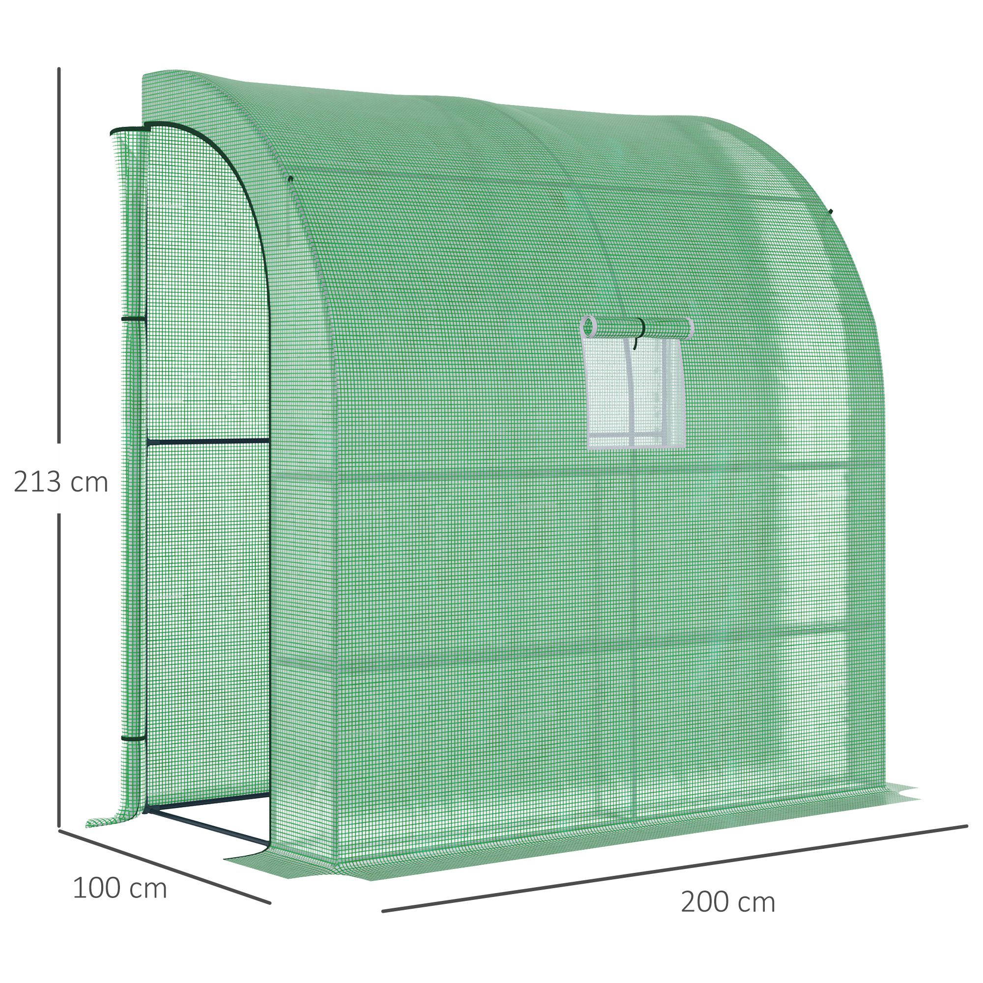  Sera de Perete cu 2 Rafturi pentru Plante si Flori din Otel si PE, 200x100x213cm - Verde [2]