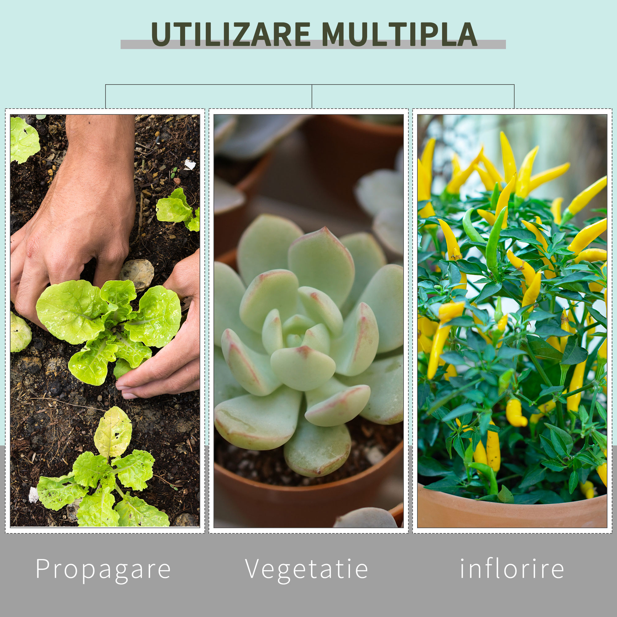  Cort Hidroponic din Oxford 600D cu 5 Orificii de Ventilatie Reglabile si Fereastra, 80x80x160 cm, Negru [5]