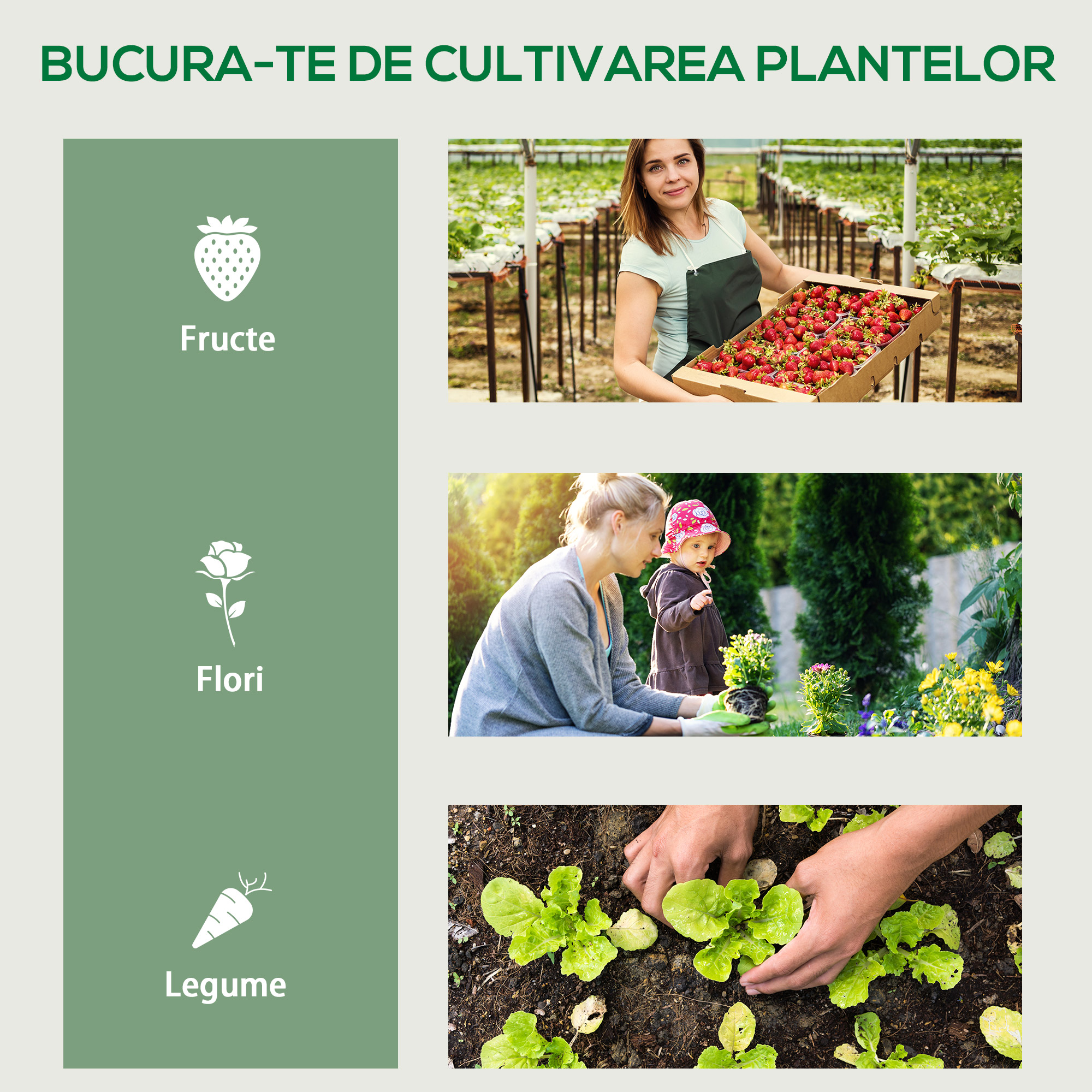  Sera Verticala Alb 4 Rafturi - Otel & PVC, Pentru Balcon/Terasa [5]