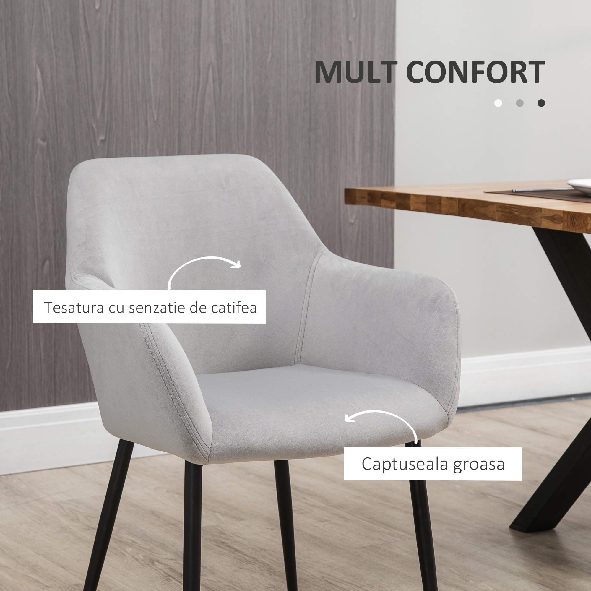  Set de 2 scaune de sufragerie, decorative din material textil din catifea, gri deschis [4]