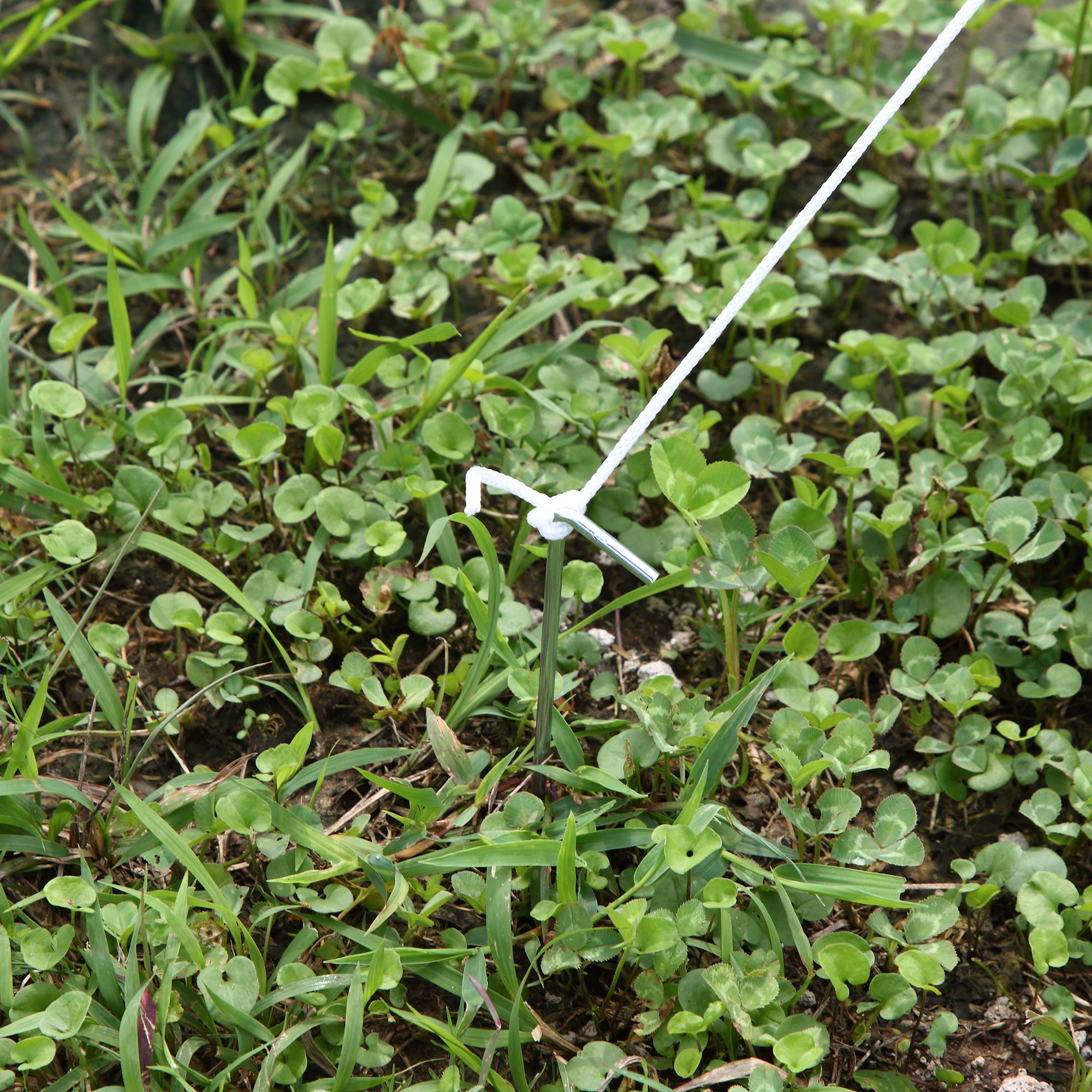  Sera tunel cu 8 ferestre si usa rulanta, sera de gradina tunel pentru plante, 5x2x2m, alb [8]