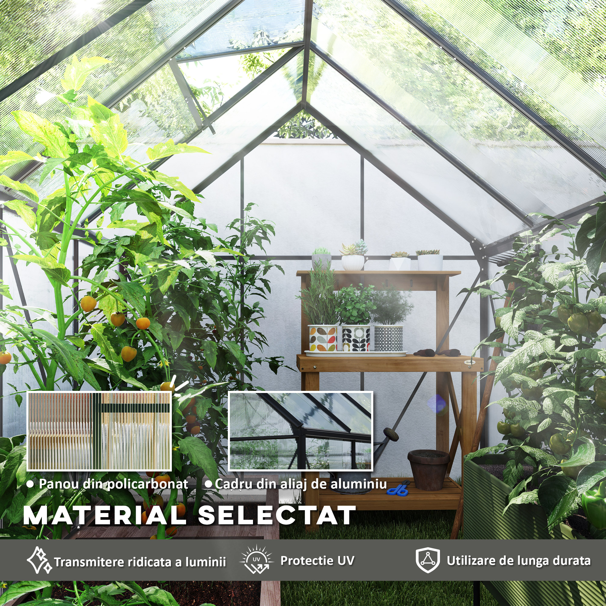  Sera Walk-In Aluminiu & Policarbonat - Ventilatie si Jgheab [3]