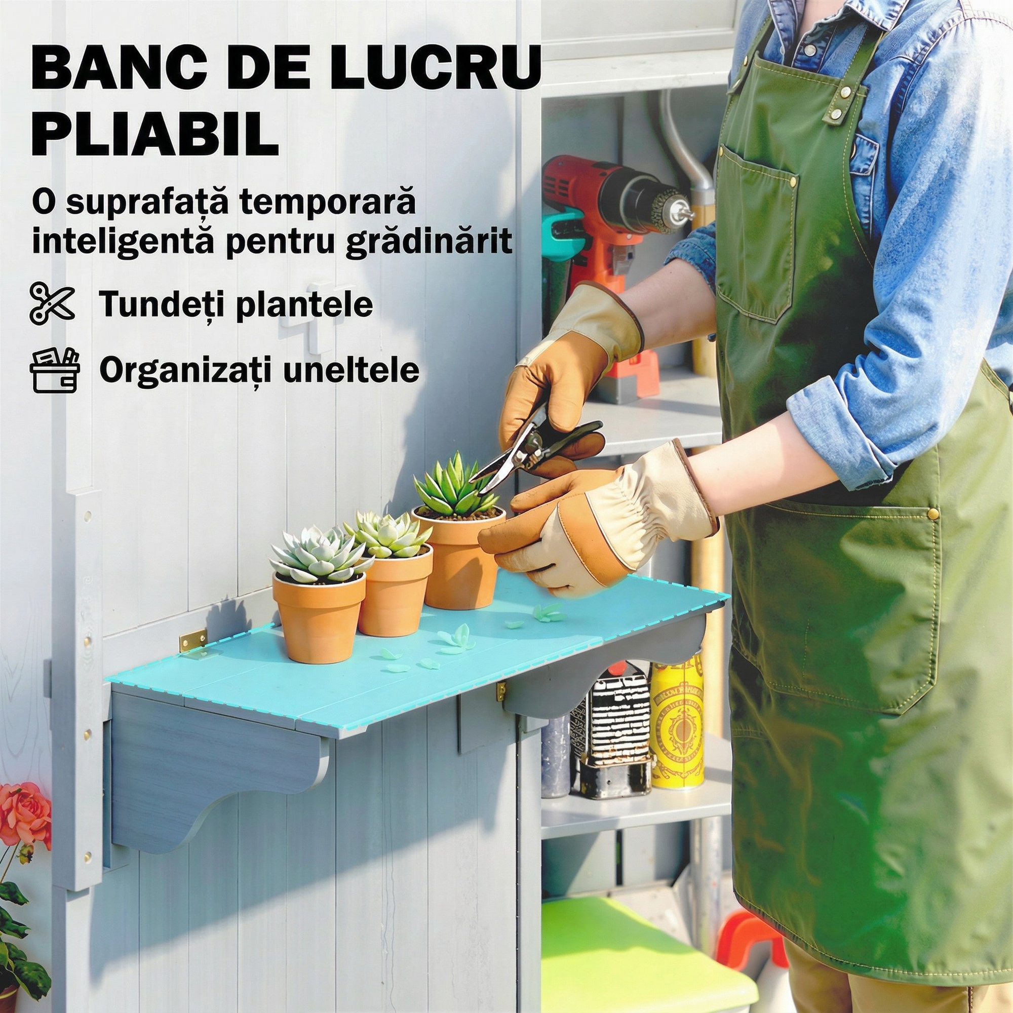  casuta dulap depozitare unelte exterior [3]