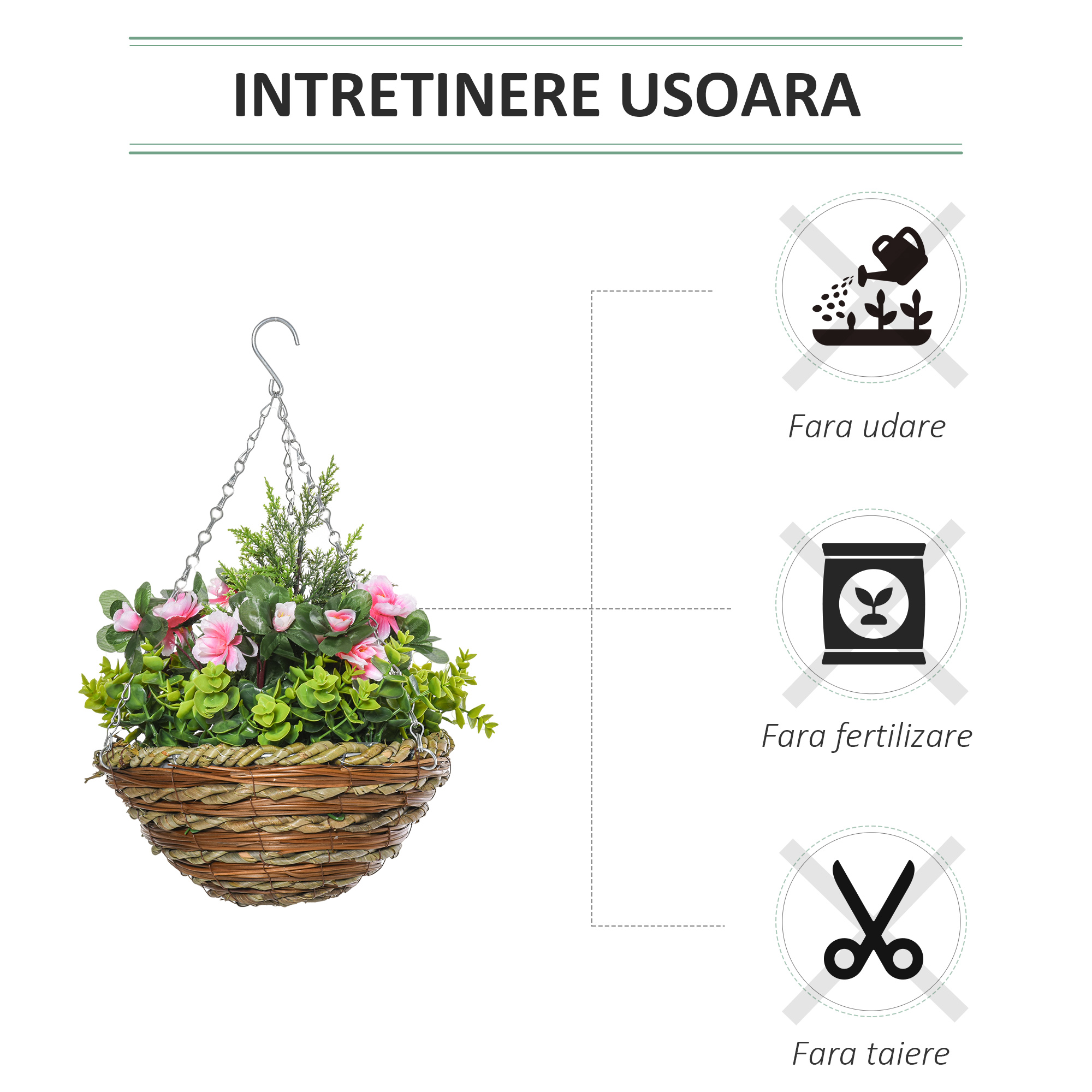  Set 2 Plante Lisianthus - Ghiveci Rachita, Decorative pentru Agatat [5]