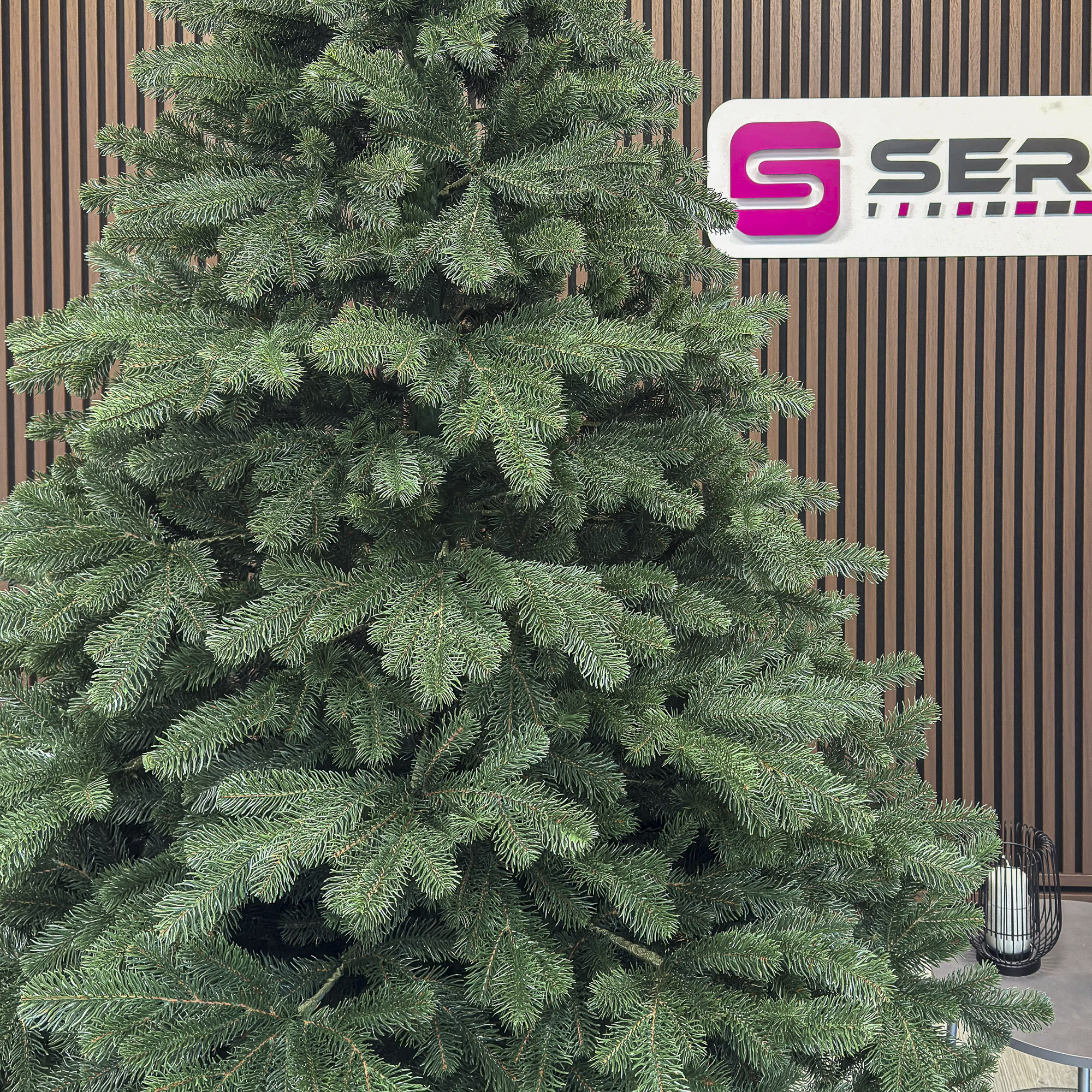 Brad artificial Christmas Deluxe by Sersimo, Kovalivka Select, integral 3D, 300 cm [2]