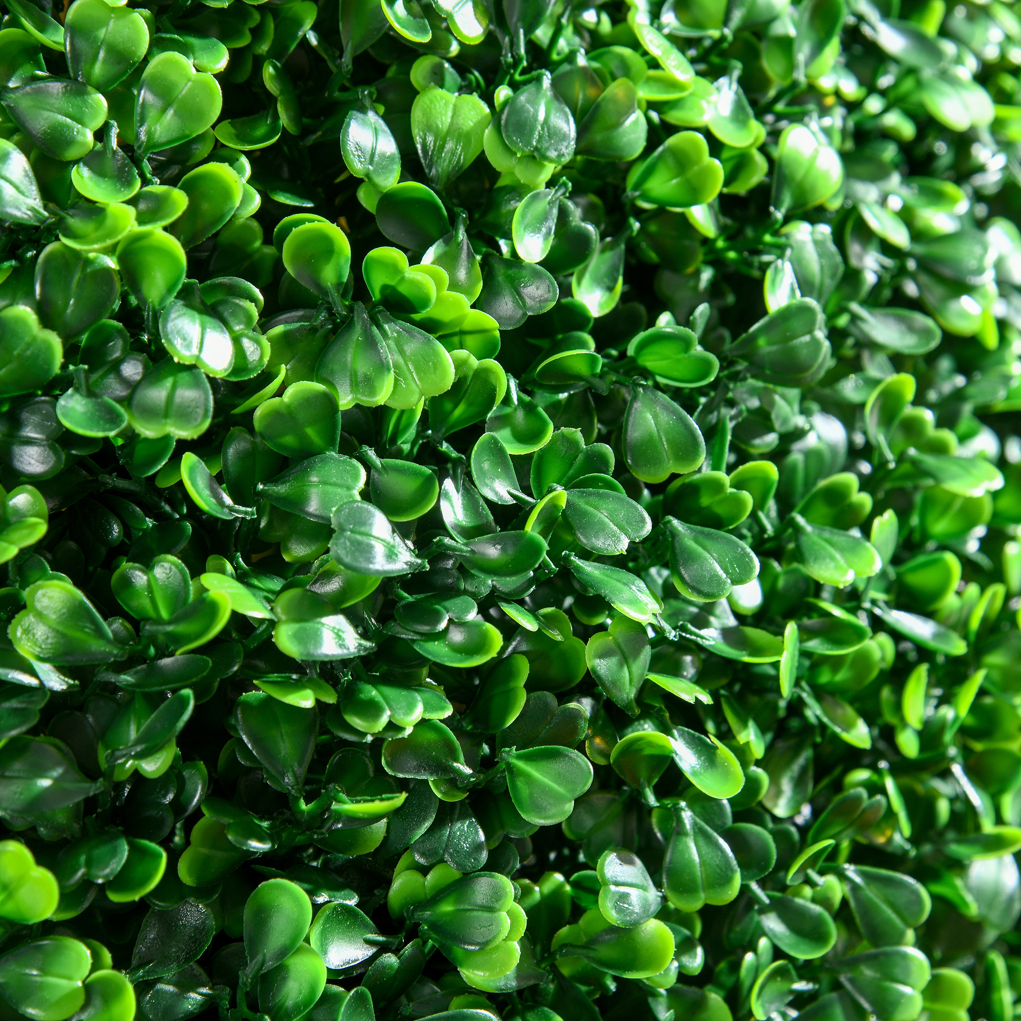  Set 2 Bile Topiary Buxus - Plante Artificiale pentru Casa & Gradina [4]