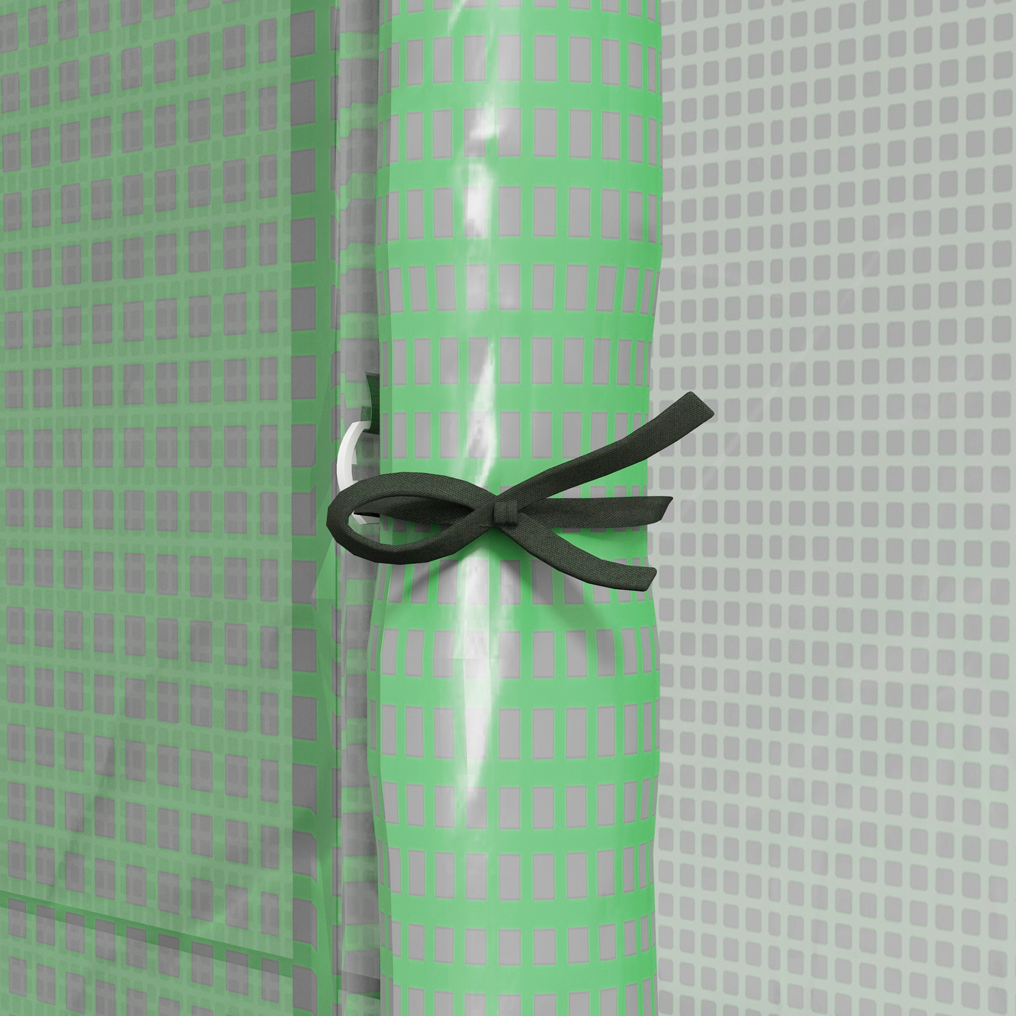  Sera de Gradina de Perete cu 2 Usi Rulabile si Acoperire din PE Anti-UV, 200x80x200 cm, Verde [7]