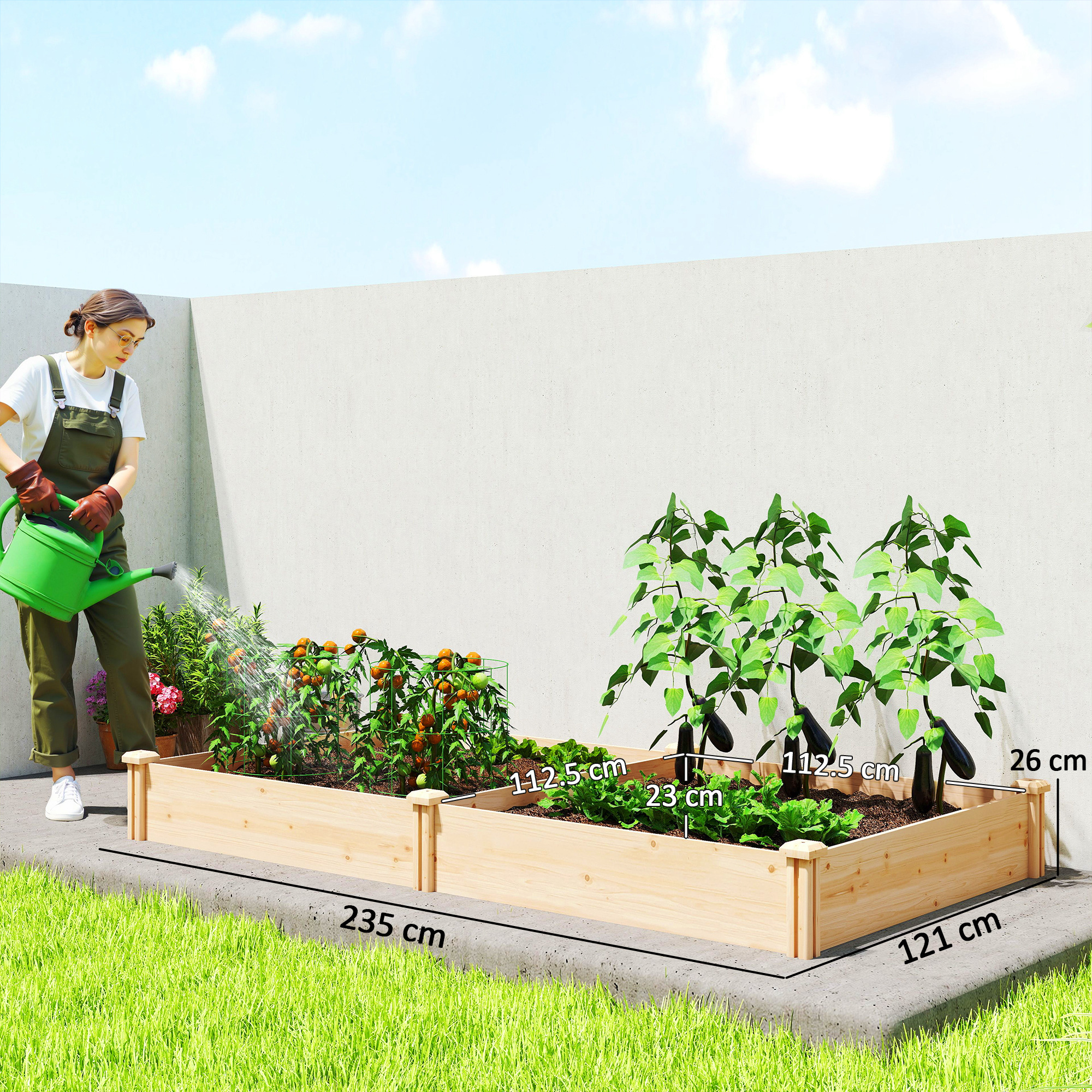  Pat de Gradina Ridicat de Exterior cu Separator Central si Baza Deschisa, Jardiniera din Lemn de Brad, pentru Flori, Legume, Balcon, Gradina, 235x121x26 cm, Culoare Lemn [2]