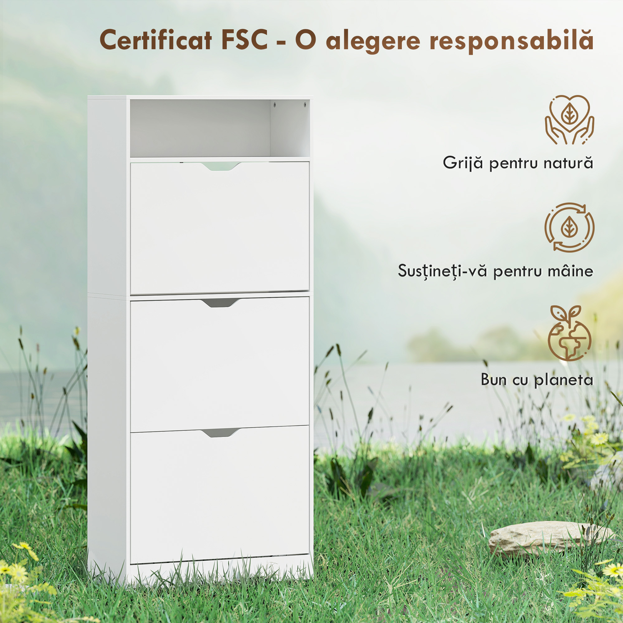  dulapior pentru pantofi [7]