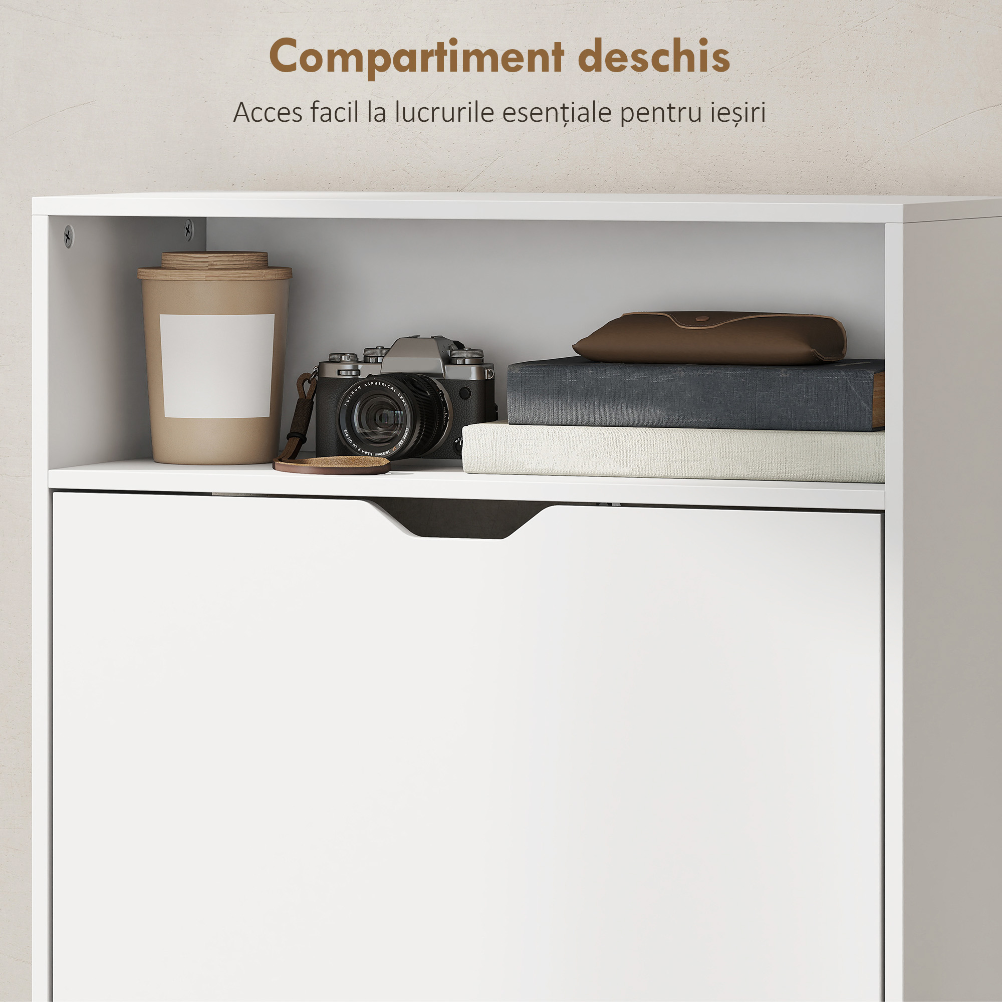  dulapior pentru pantofi [6]