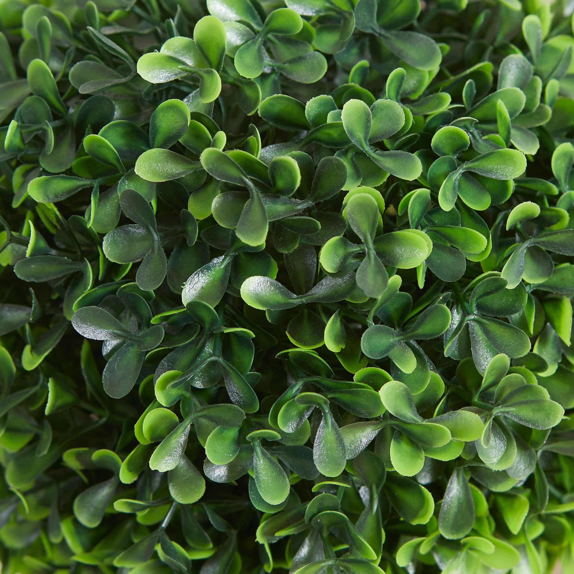  Buxus Artificial Sferic - Ghiveci Decor Interior & Exterior [6]