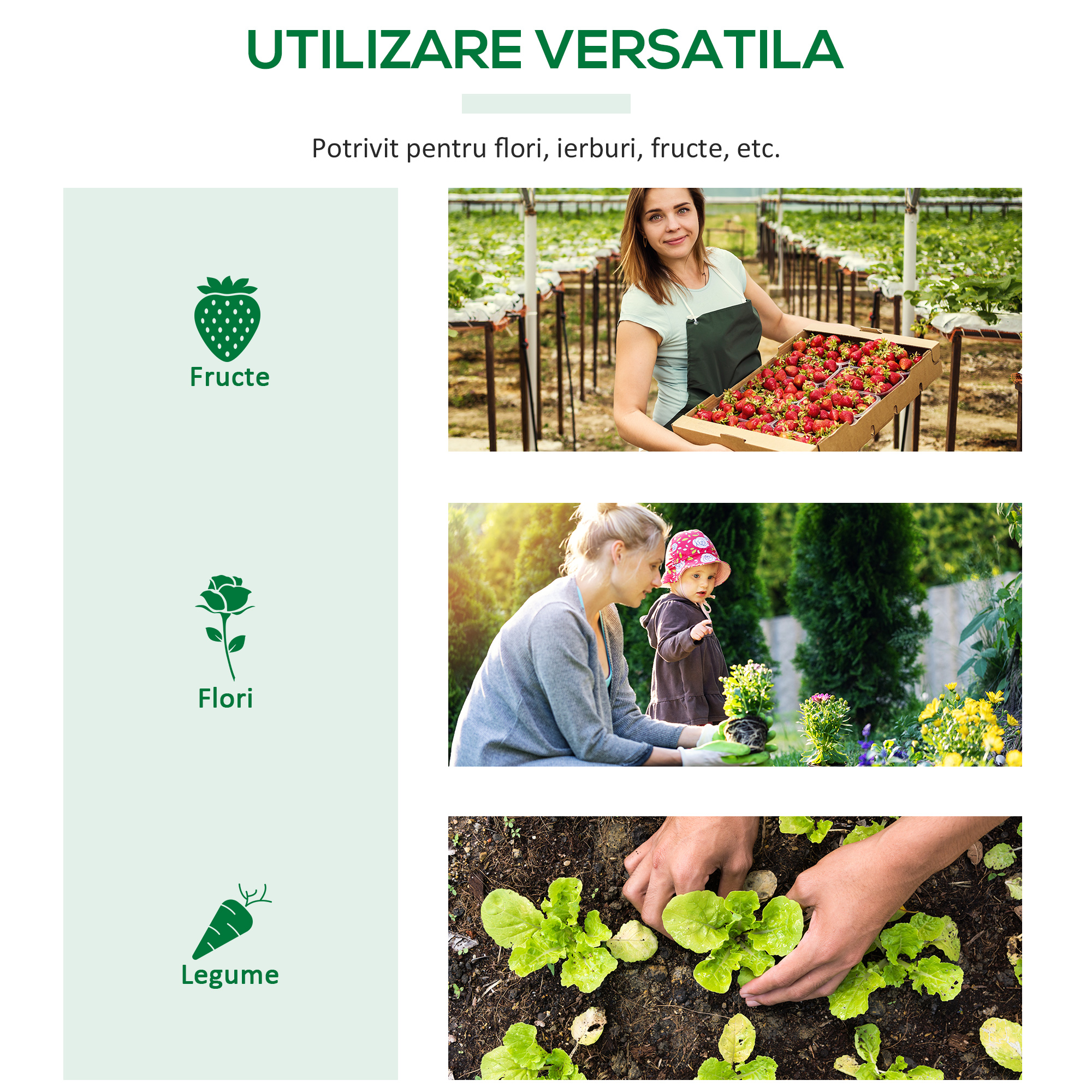  Mini sera de gradina, Sera compacta cu 3 ferestre rulou, protectie PE Anti-UV si cadru din otel, pentru plante, legume si fructe, 180×60×60 cm [6]