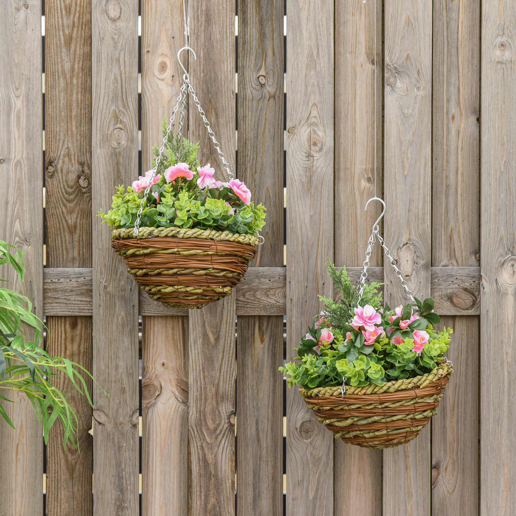  Set 2 Plante Lisianthus - Ghiveci Rachita, Decorative pentru Agatat [1]