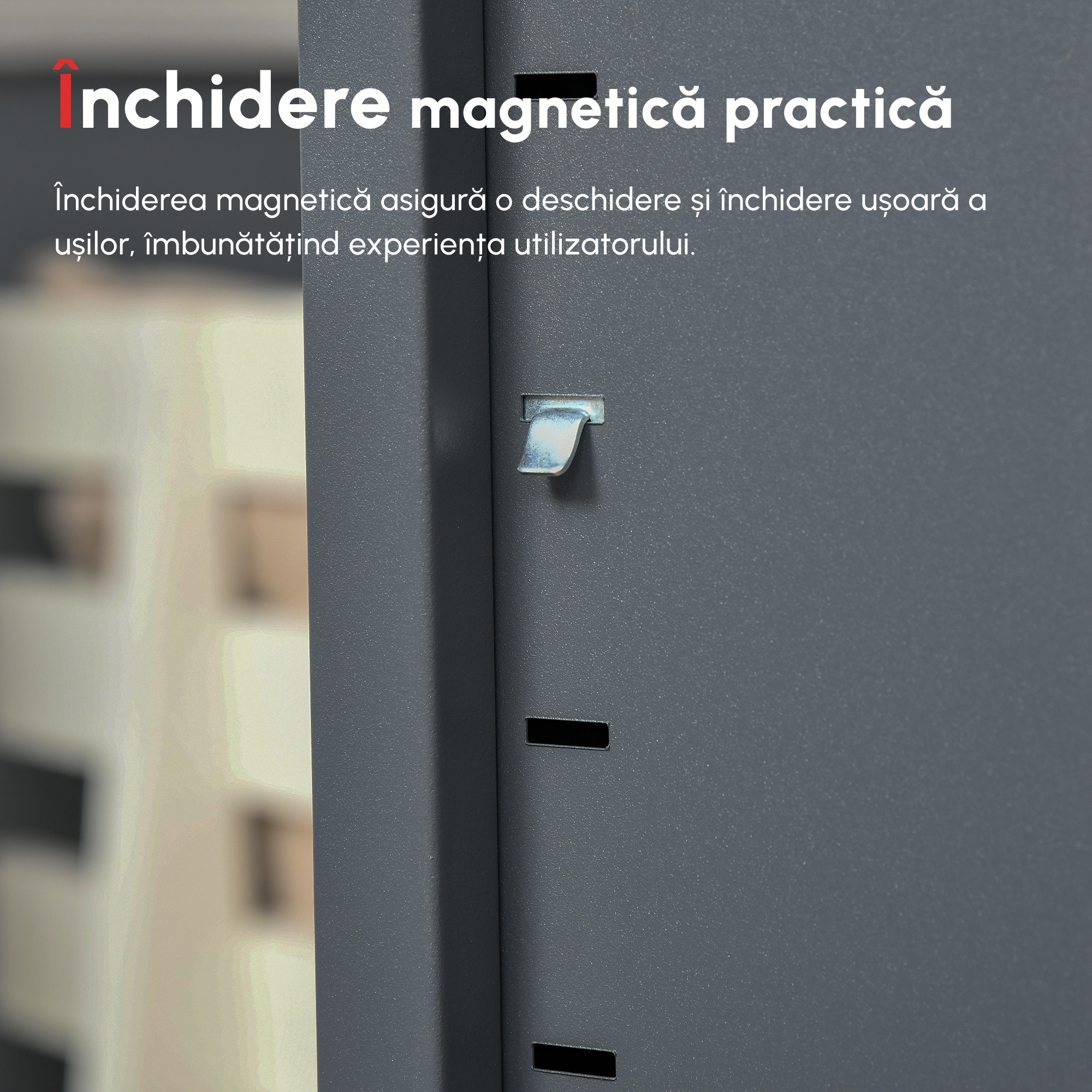  Dulapior Multifunctional cu 2 Usi Stil Industrial, Dulapior Metalic pentru Casa si Garaj - Gri [4]