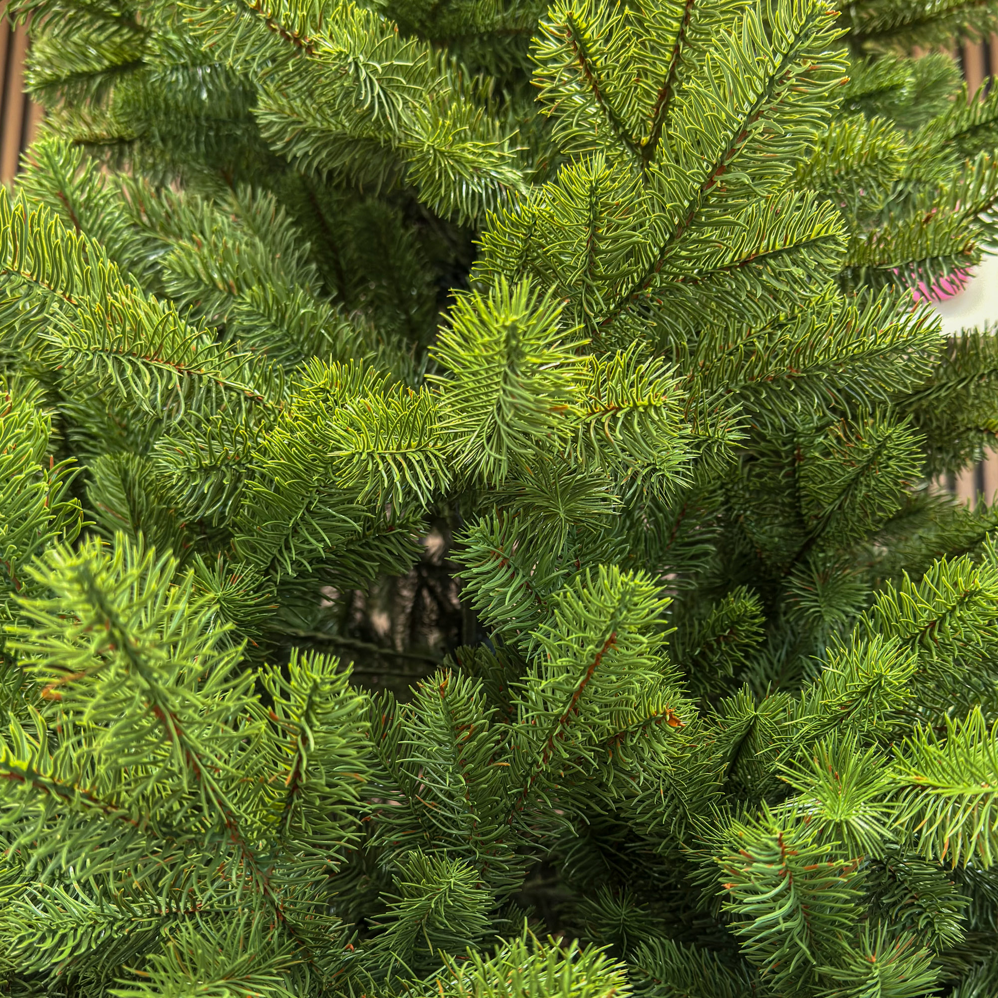 Brad artificial Sersimo, Silvee Elite, verde, integral 3D, 180 cm [8]