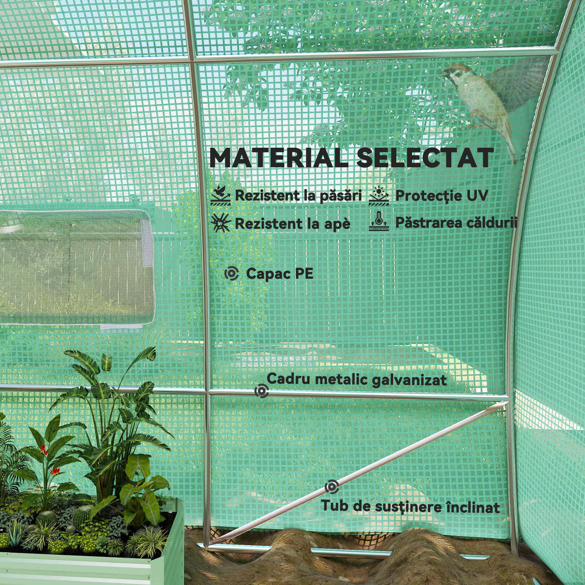  Sera de Gradina Tunel pentru Cultivare Plante in PE, 600x300x200cm, usa unica [3]