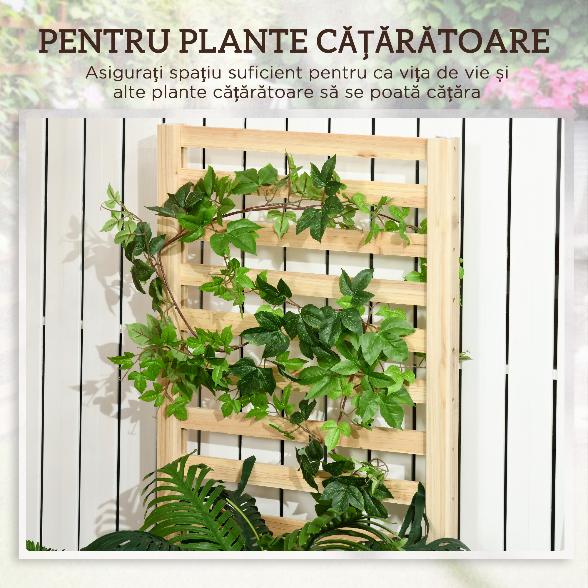  Jardiniera cu Spalier pentru Plante Cataratoare si Baza Deschisa, din Lemn de Brad, 230x60x110 cm, Culoare Lemn [3]