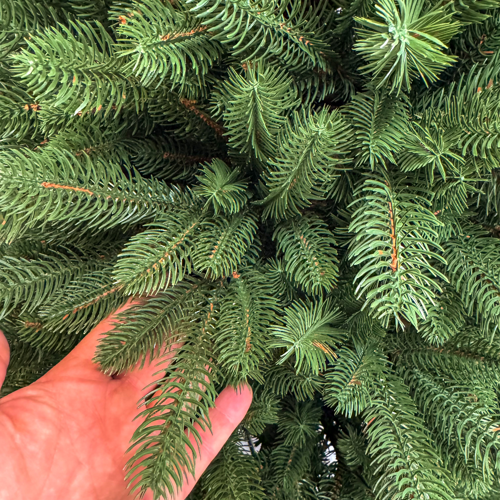 Brad artificial Sersimo, Viorisse Elite, verde, integral 3D, 190 cm [8]