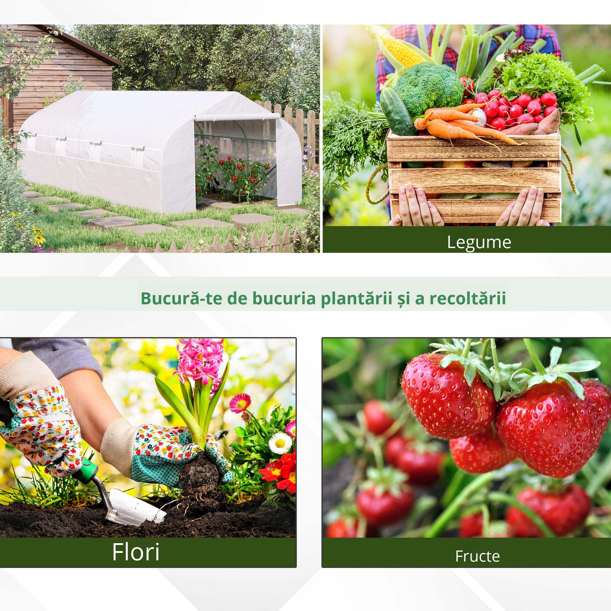  Sera pentru Gradina cu 8 Ferestre si Usa [3]