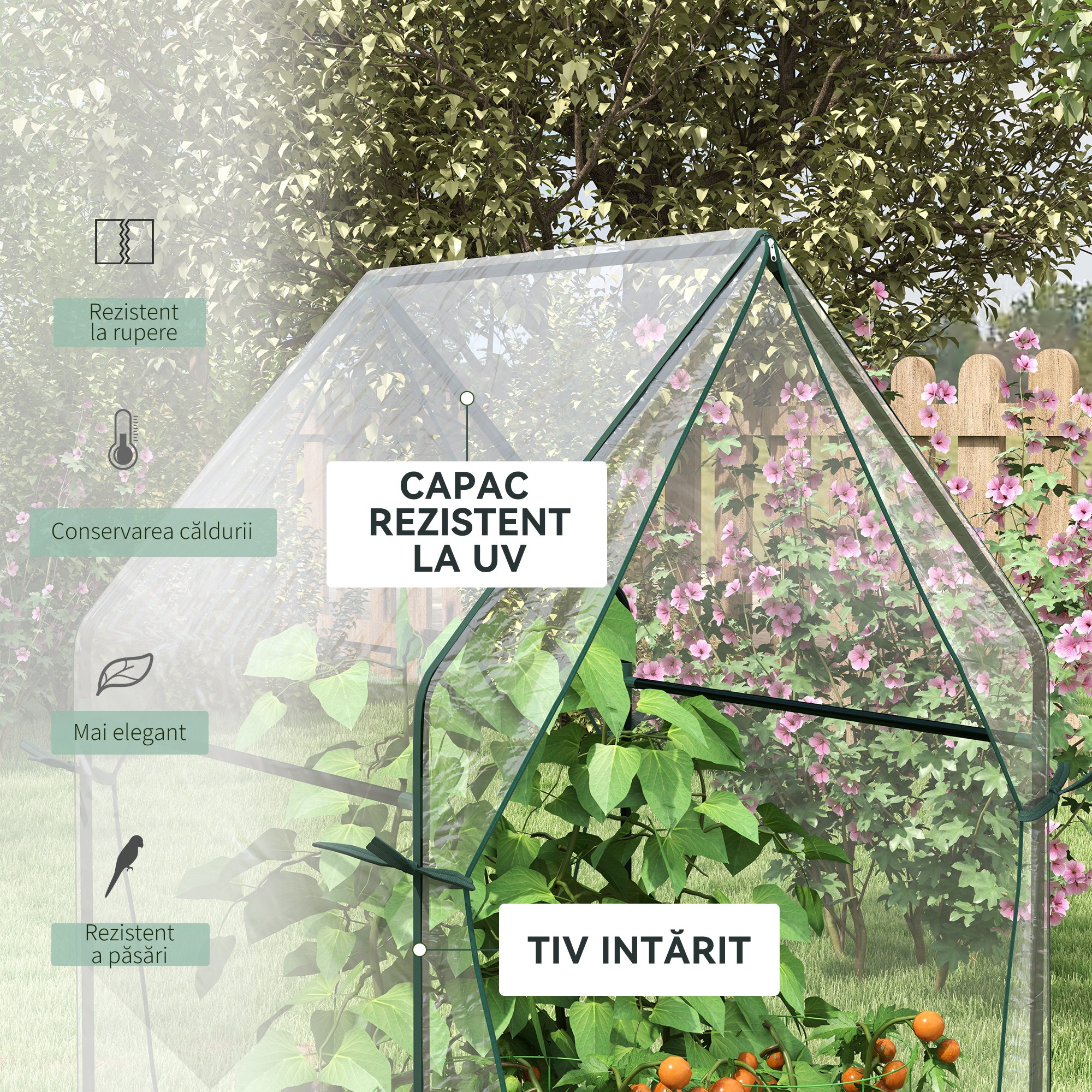  Mini Sera de Gradina cu 2 Usi Rulabile si Acoperire din PE 90x90x145cm, Transparenta [4]