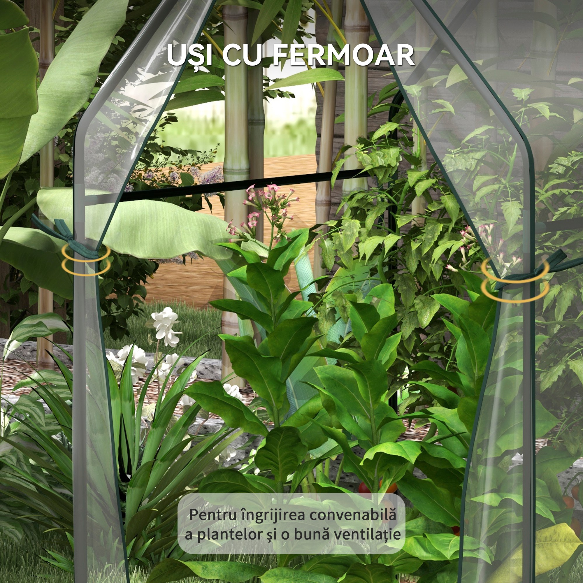  Mini Sera de Gradina cu 2 Usi Rulabile si Acoperire din PE 90x90x145cm, Transparenta [5]