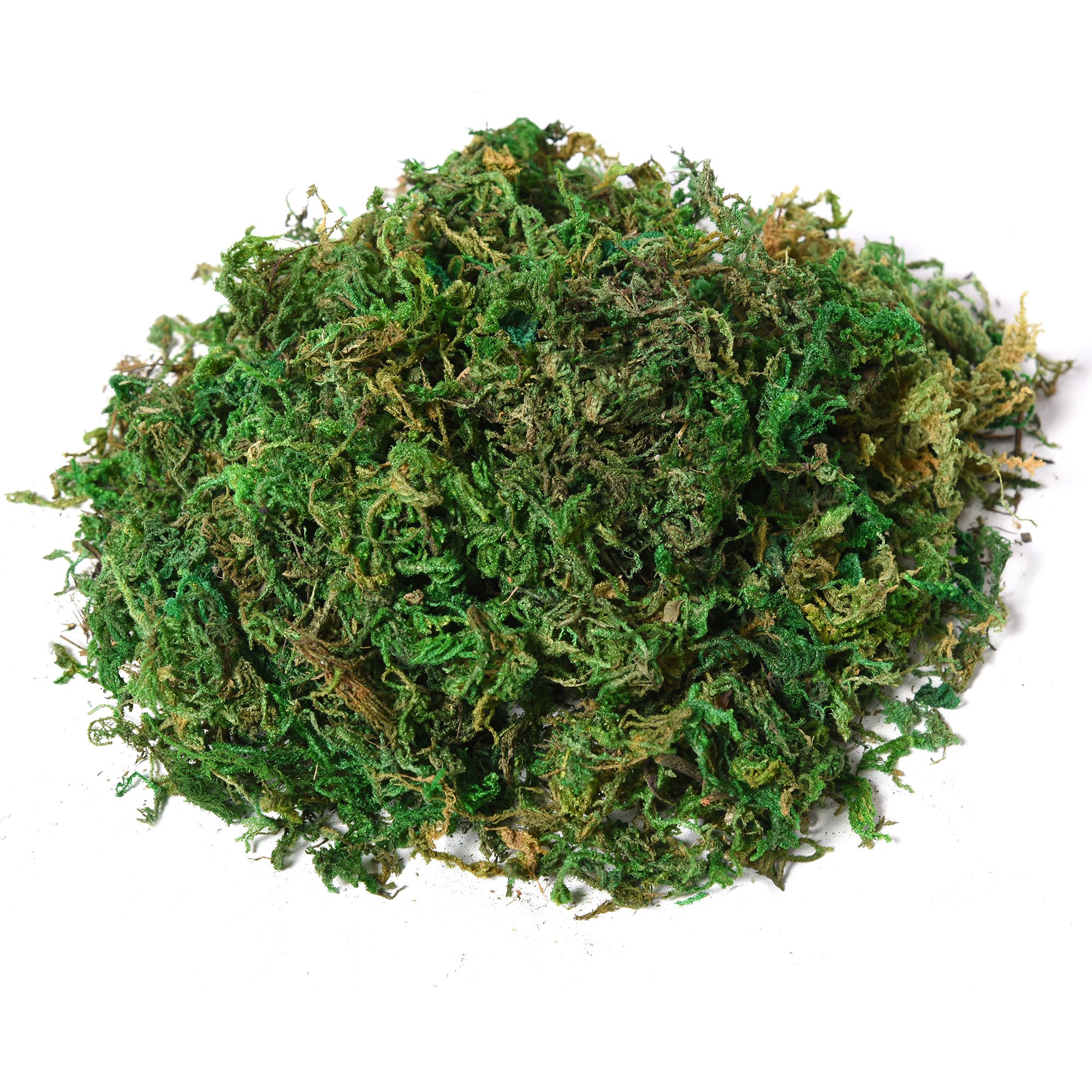  Arbore Artificial Banyan 145 cm - Decor pentru Interior & Exterior [7]