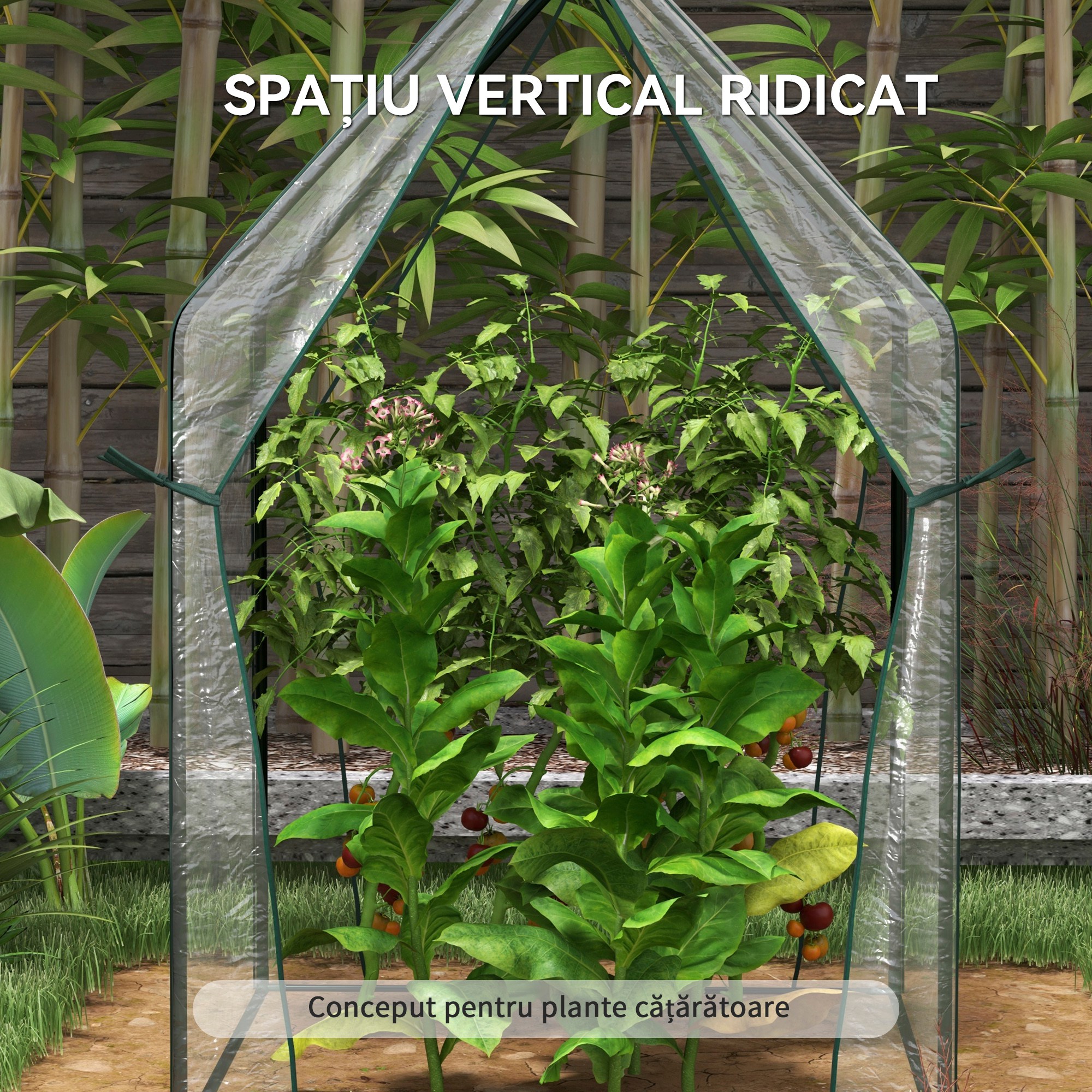  Mini Sera de Gradina cu 2 Usi Rulabile si Acoperire din PE 90x90x145cm, Transparenta [3]