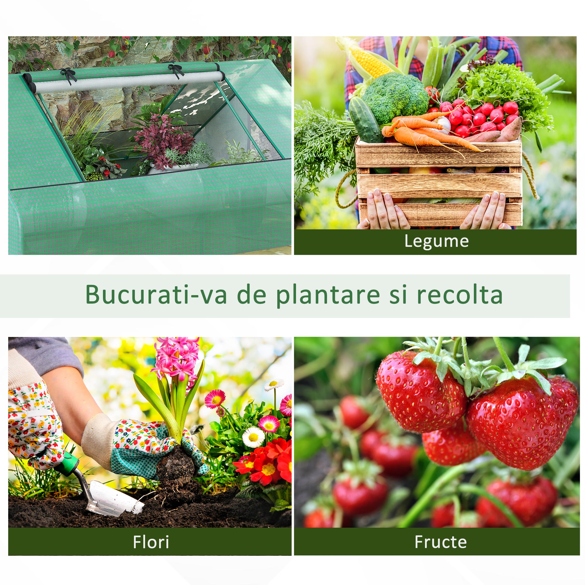  Sera de Gradina din Otel cu Acoperire din PE, Usi Rulabile si Ferestre, 180x140x80cm, Verde [6]