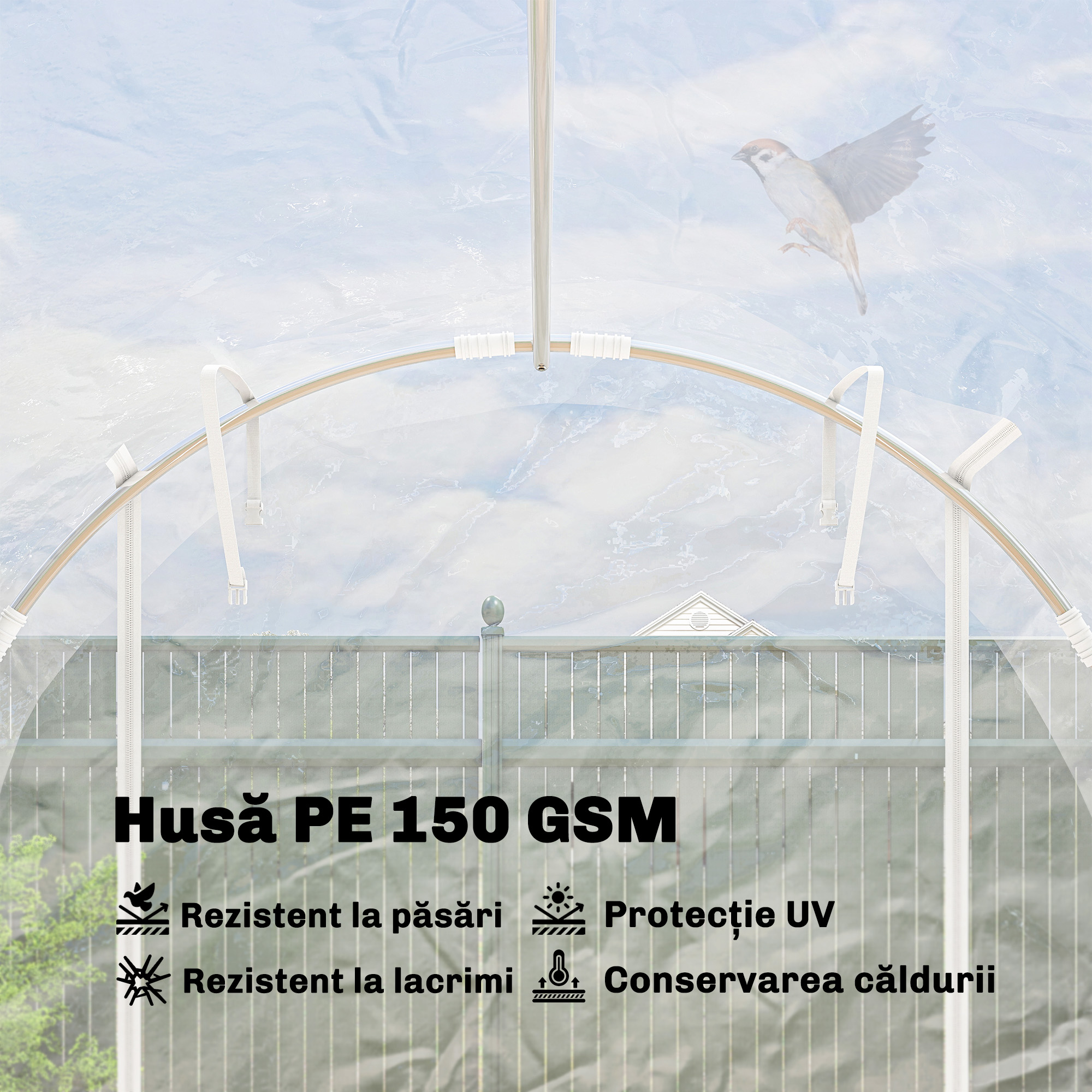  Sera tip tunel 2x3x2 m cu usi rulabile, cadru din otel si acoperire din PE anti-UV, transparenta [4]