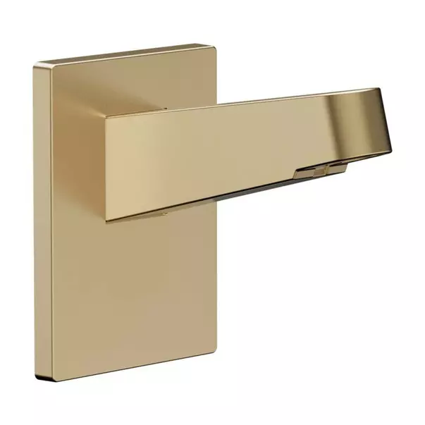 Agatatoare dus bronz periat Hansgrohe Pulsify [1]
