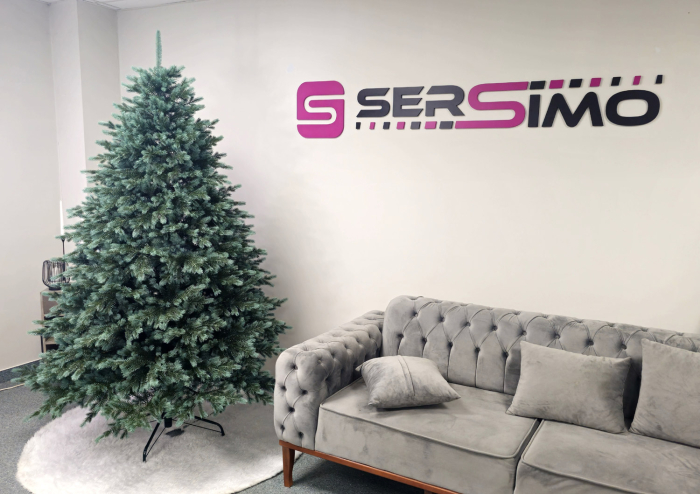 Brad artificial Christmas Deluxe by Sersimo, Alaska Select verde argintiu, integral 3D, 230 cm [14]