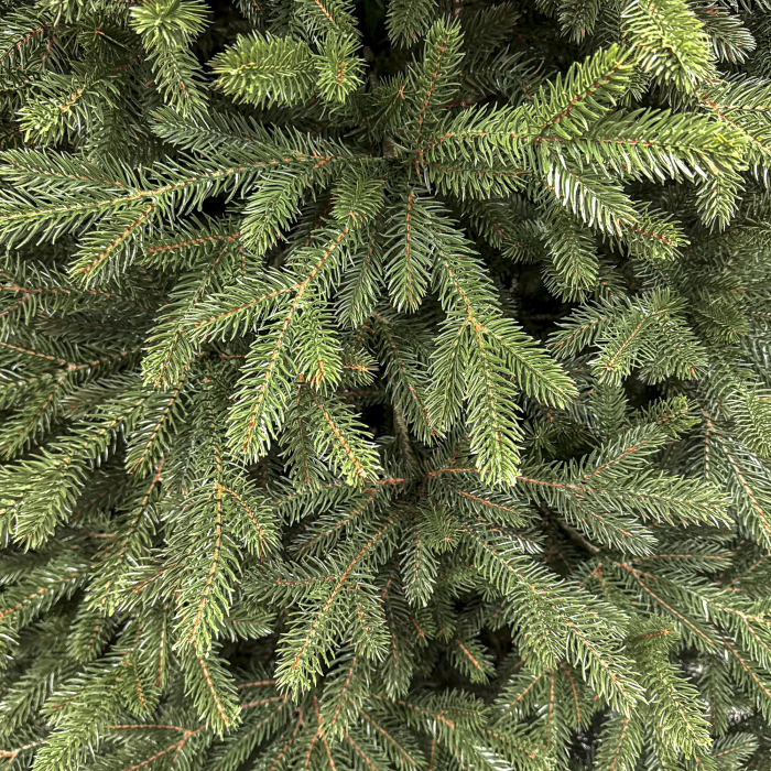 Brad artificial Christmas Deluxe, Alpin Select, integral 3D, 250 cm [3]