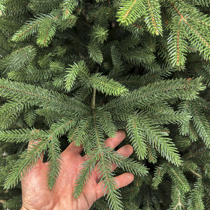 Brad artificial Christmas Deluxe, Alpine, verde, integral 3D, 230 cm [6]