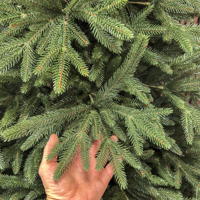 Brad artificial Christmas Deluxe, Alpine, verde, integral 3D, 250 cm [5]