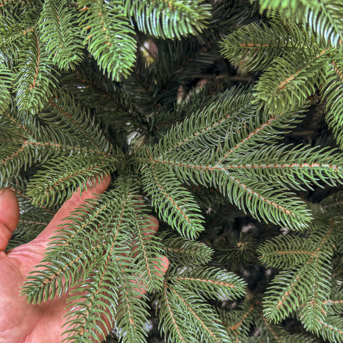 Brad artificial Christmas Deluxe by Sersimo, Belgia, 2D+3D, 230cm [3]