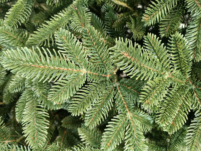 Brad artificial Christmas Deluxe, Canada verde, 3D, 230cm [9]