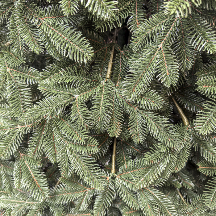 Brad artificial Christmas Deluxe, Canada verde, 3D, 230cm [6]