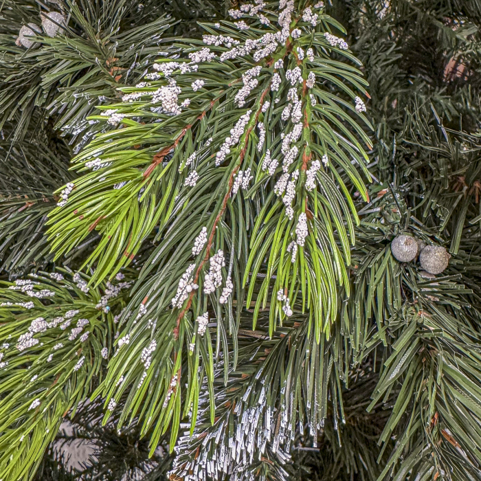 Brad artificial Christmas Deluxe, Diamant, 2D+3D, 250cm [8]