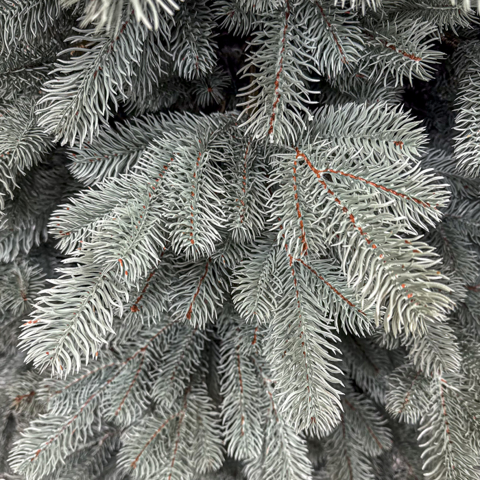 Brad artificial Christmas Deluxe, Kovalivka Select argintiu, integral 3D, 230 cm [4]