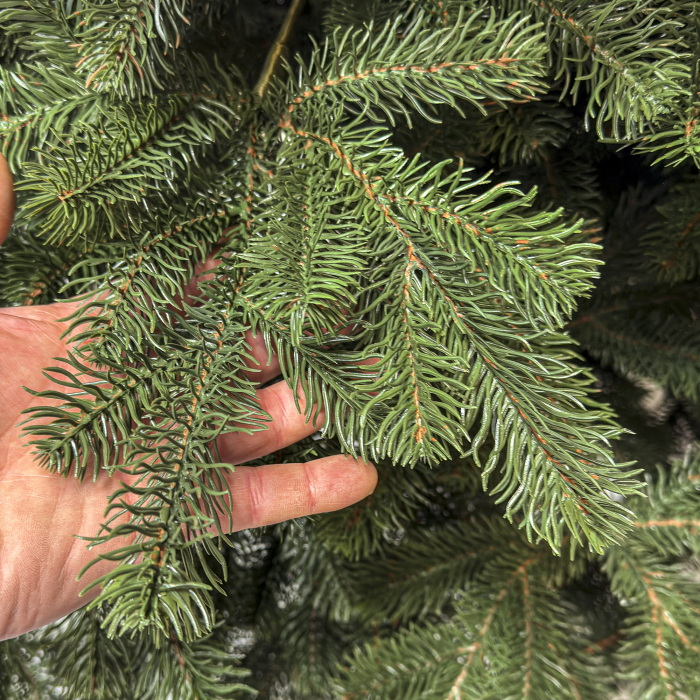 Brad artificial Christmas Deluxe, Kovalivka Select, integral 3D, 230cm [5]