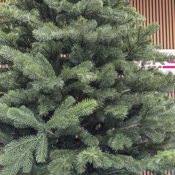 Brad artificial Christmas Deluxe by Sersimo, Kovalivka Select, integral 3D, 250 cm [3]