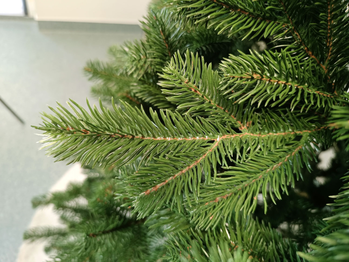 Brad artificial Christmas Deluxe by Sersimo, Kovalivska verde, 3D, 210cm [9]