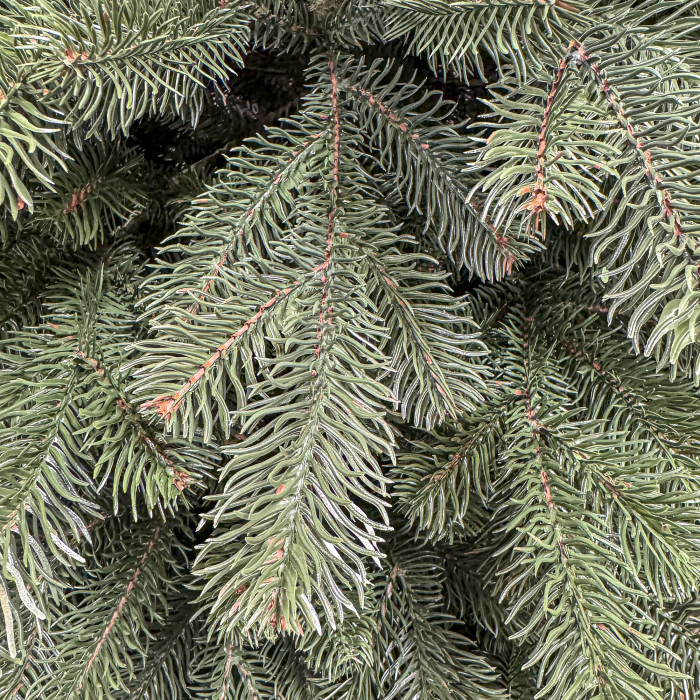 Brad artificial Christmas Deluxe, Versailles Select, integral 3D, 230 cm [9]